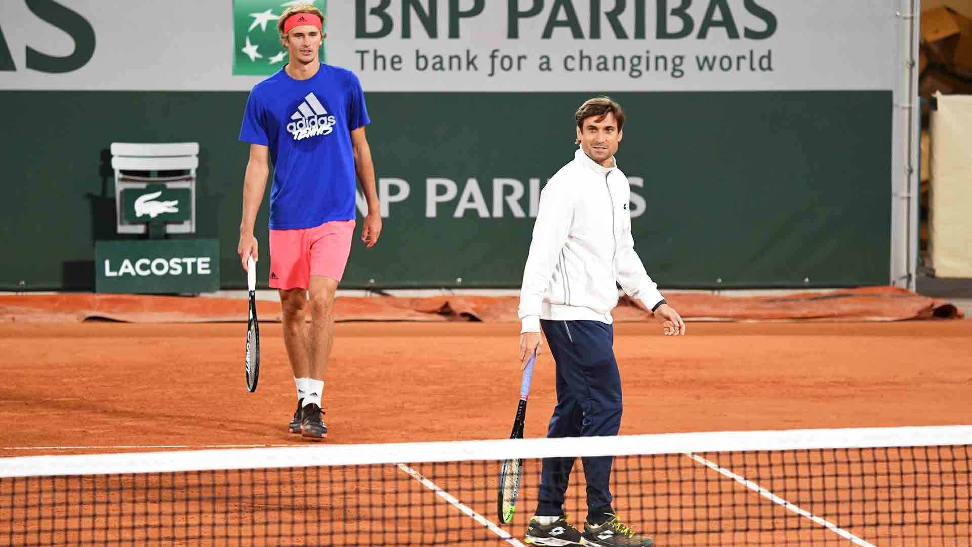 David Ferrer In Action Against Alexander Zverev