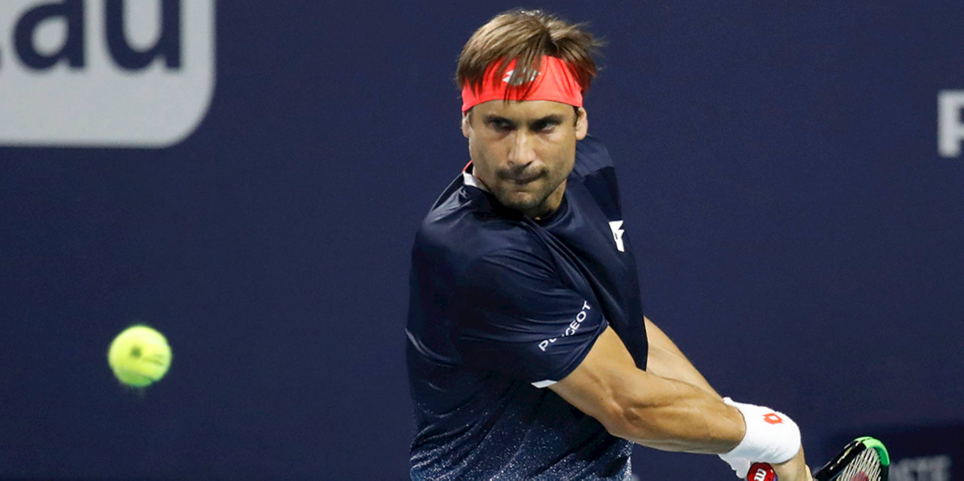 David Ferrer Look Of Concentration Background