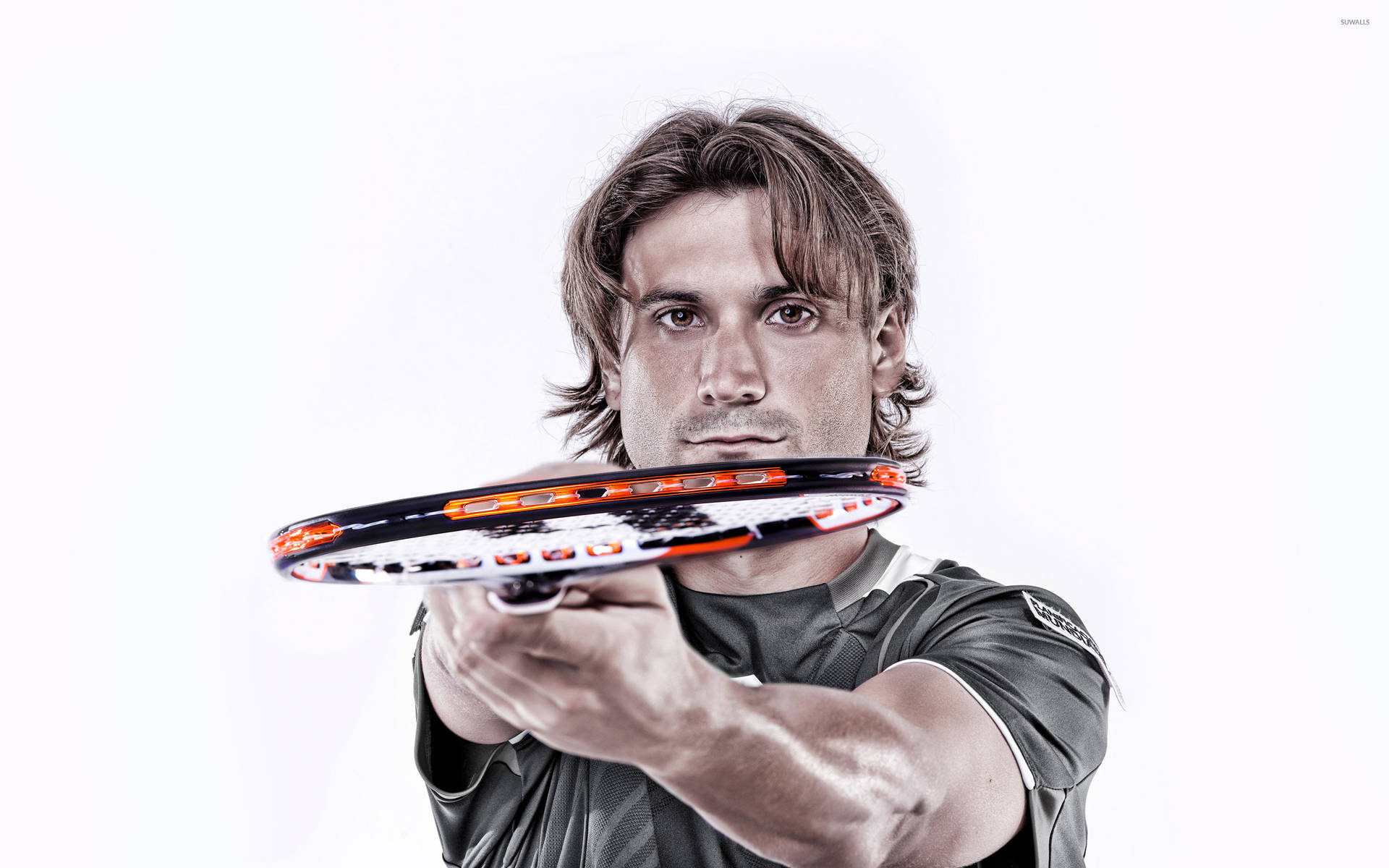 David Ferrer Photoshoot Background