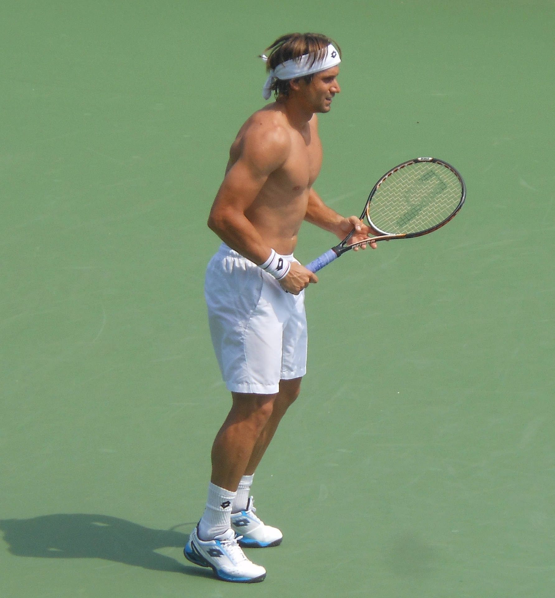 David Ferrer Shirtless Background