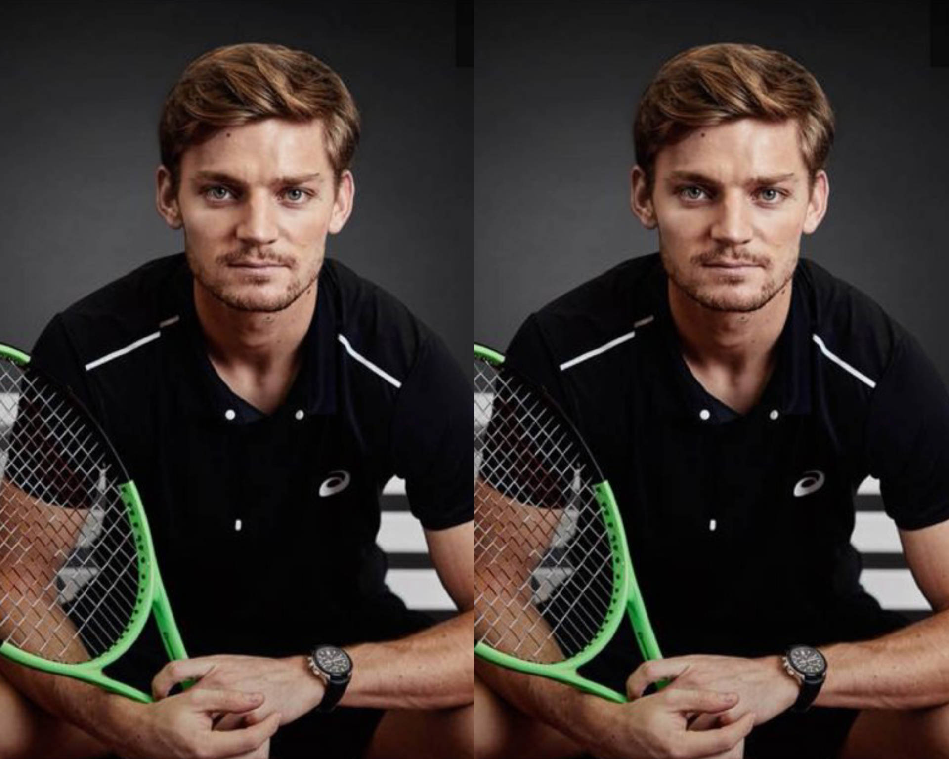 David Goffin Collage Background