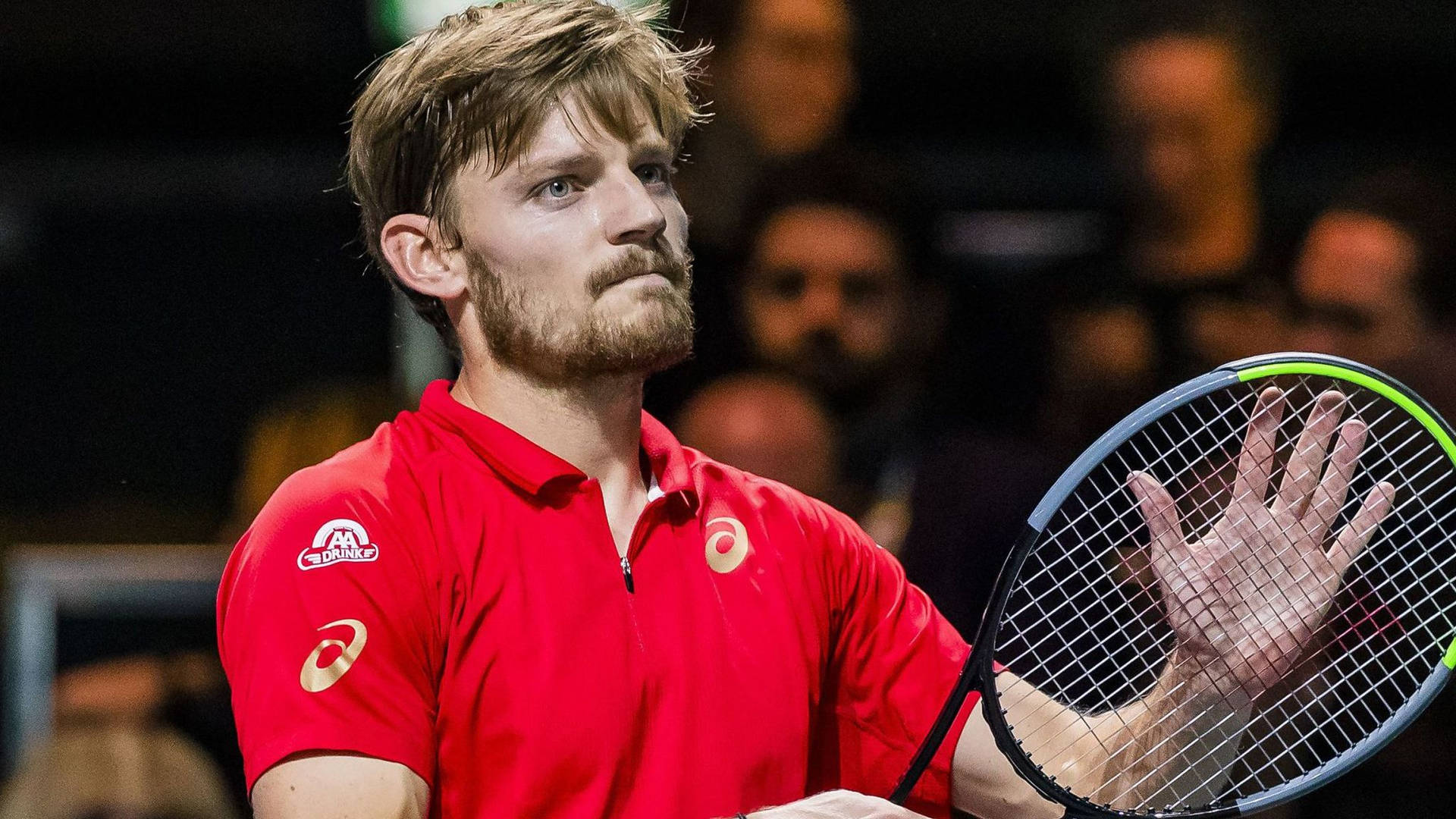 David Goffin Hand On Racket Background