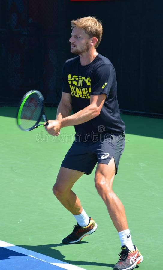 David Goffin Playing On Tennis Court Background