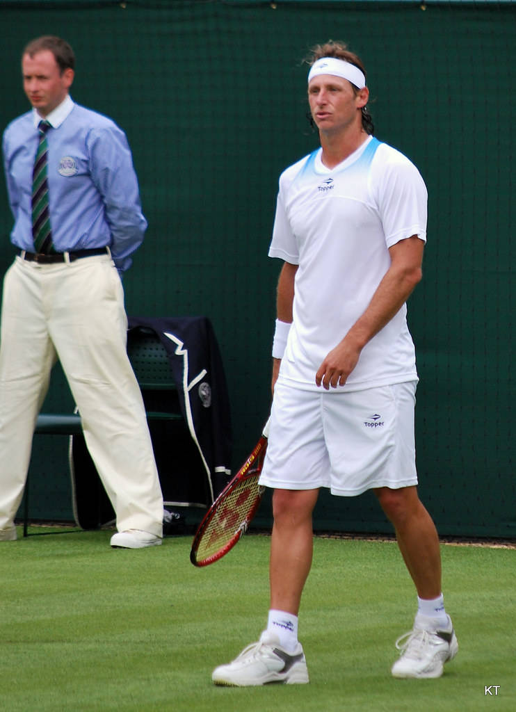 David Nalbandian Competing On A Grass Court Background