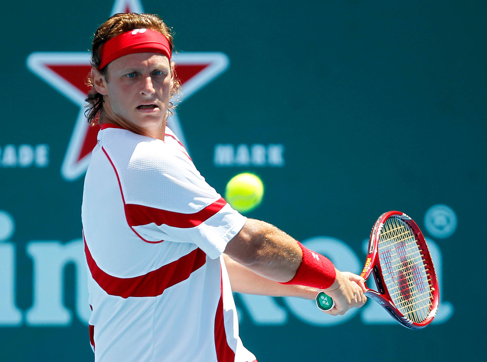 David Nalbandian Focused On Ball Background