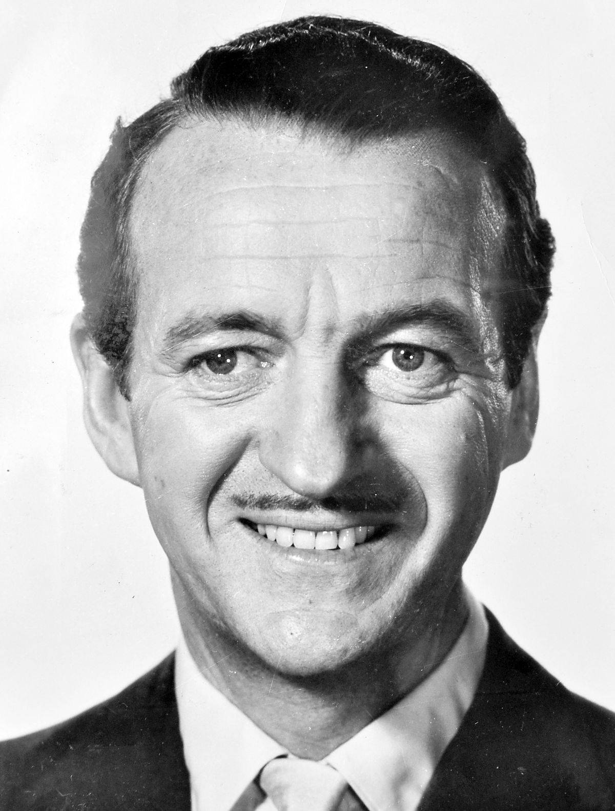 David Niven Smiling Portrait