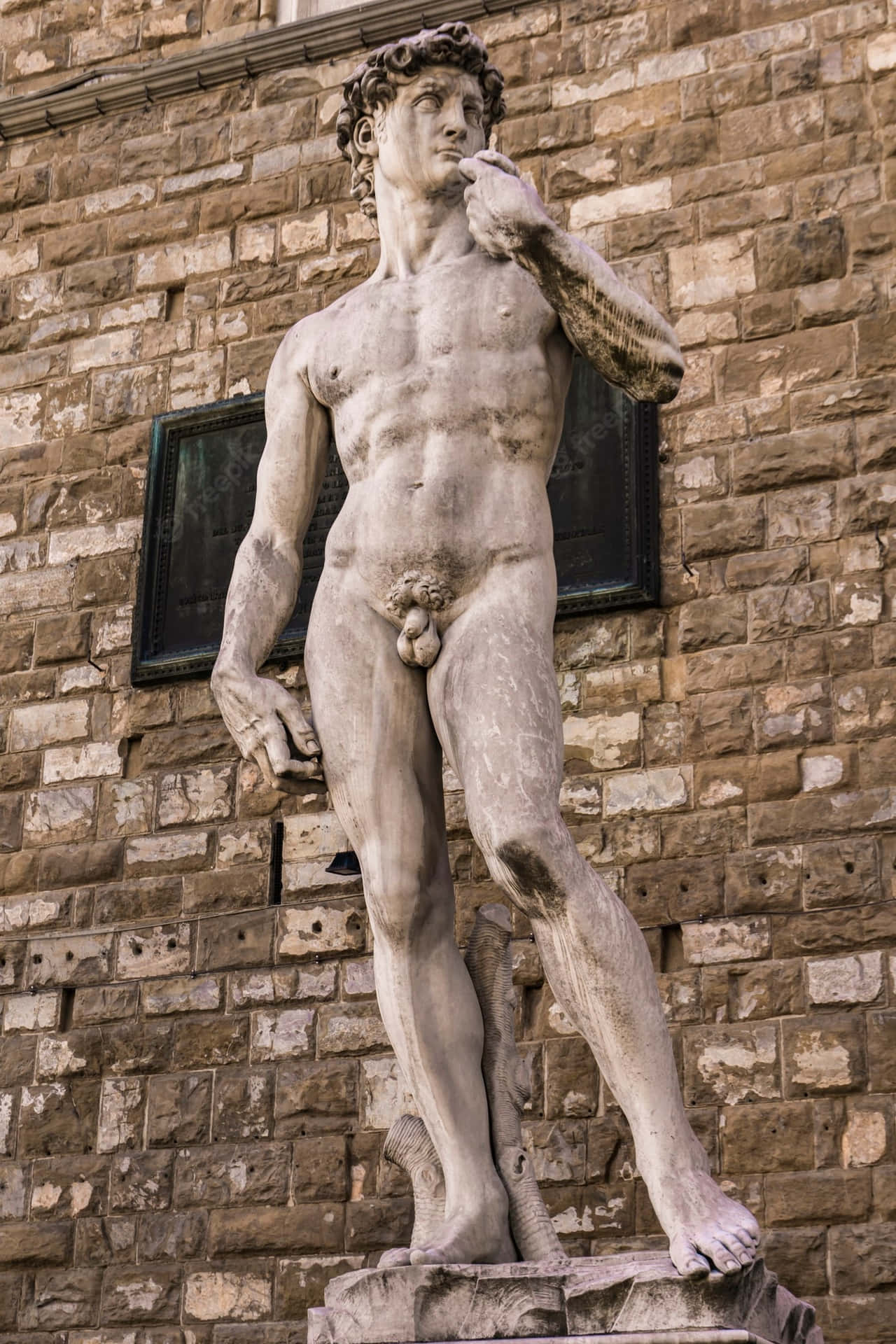 David Of Michelangelo Replica Background