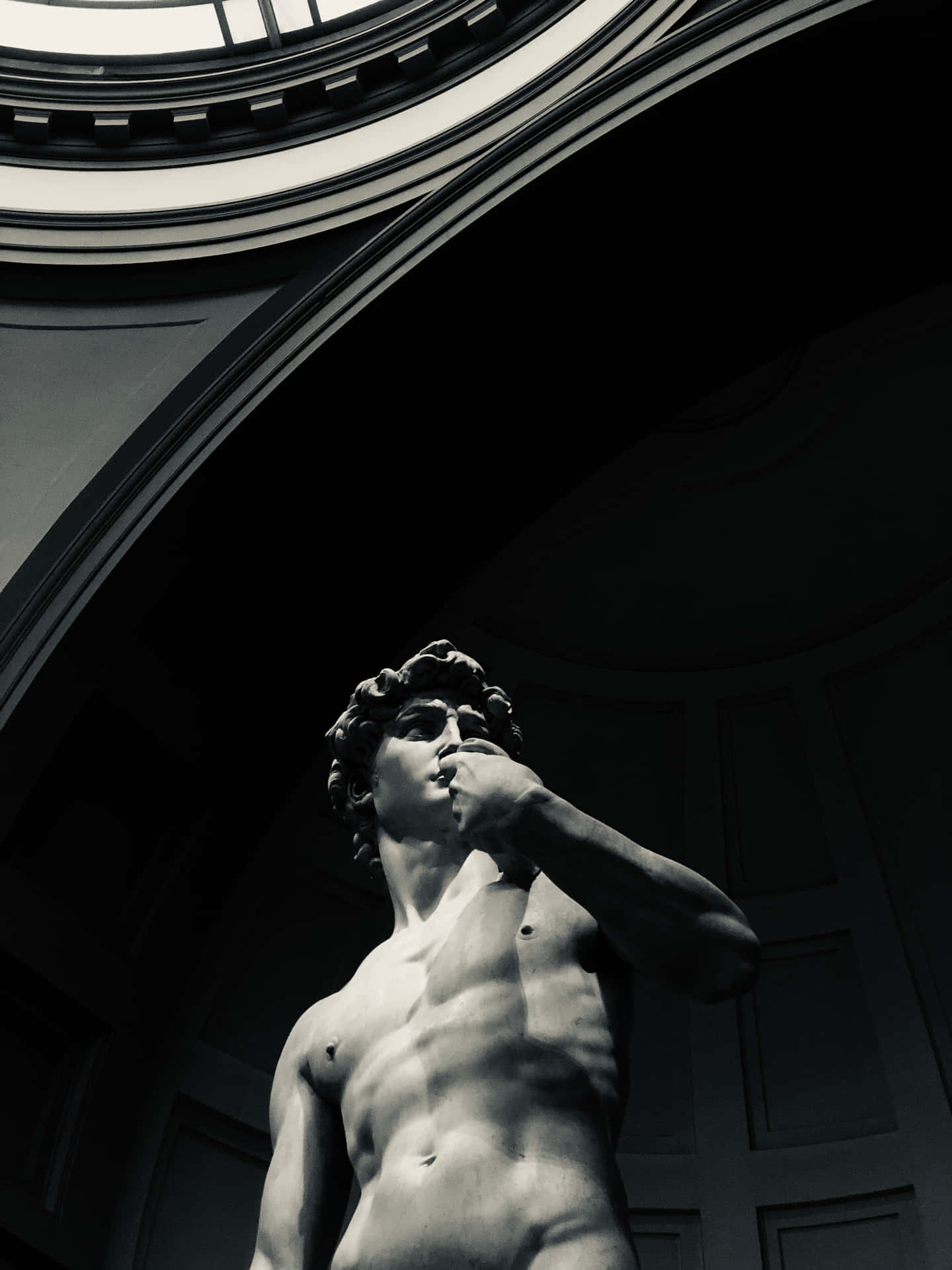 David Of Michelangelo Worm's Eye View Background