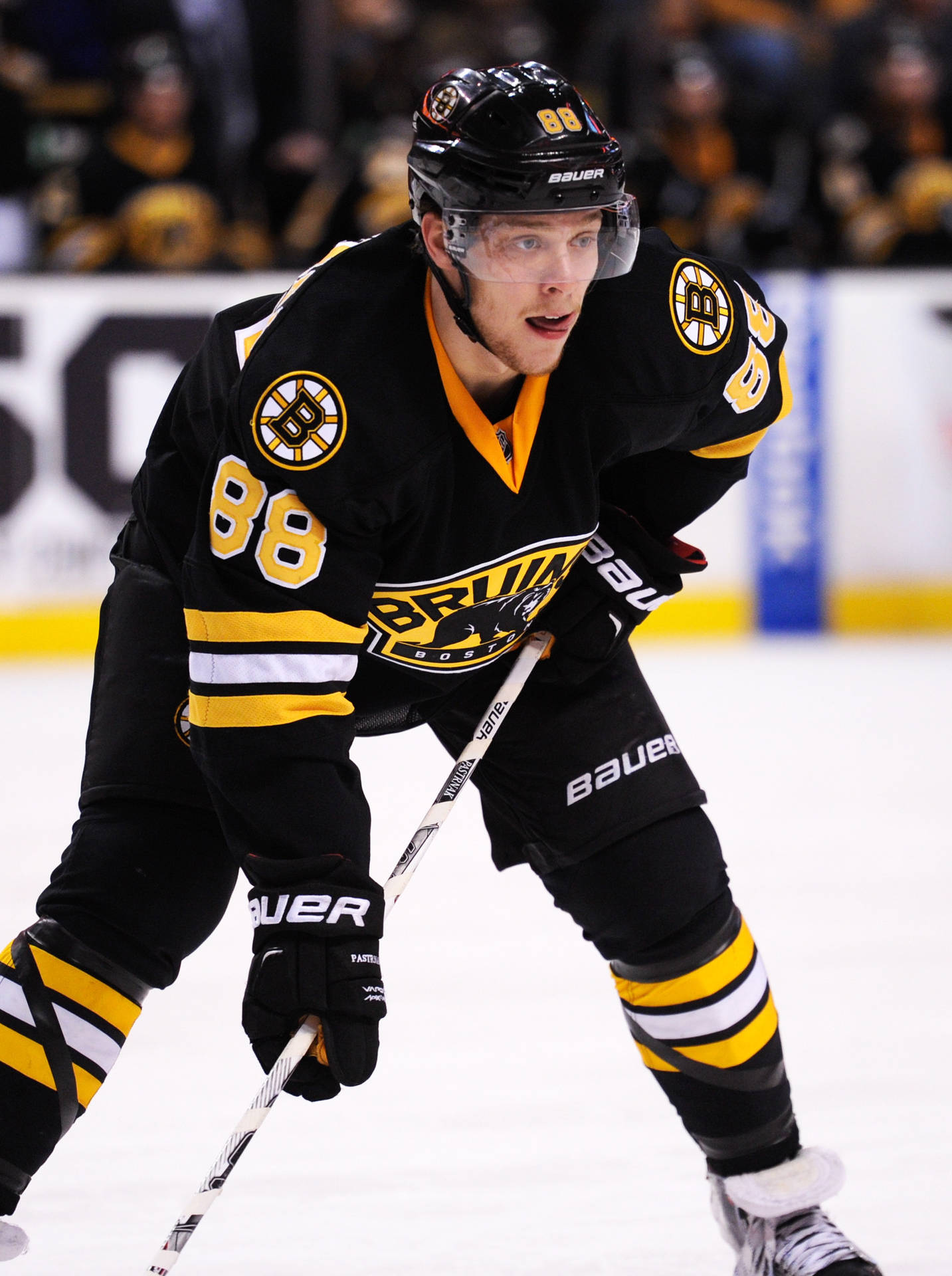 David Pastrnak Against Washington Capitals 2016 Background