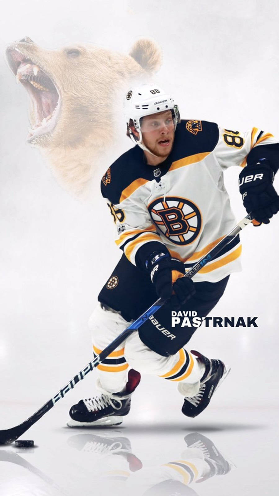 David Pastrnak Boston Bruins Grizzly Bear Background