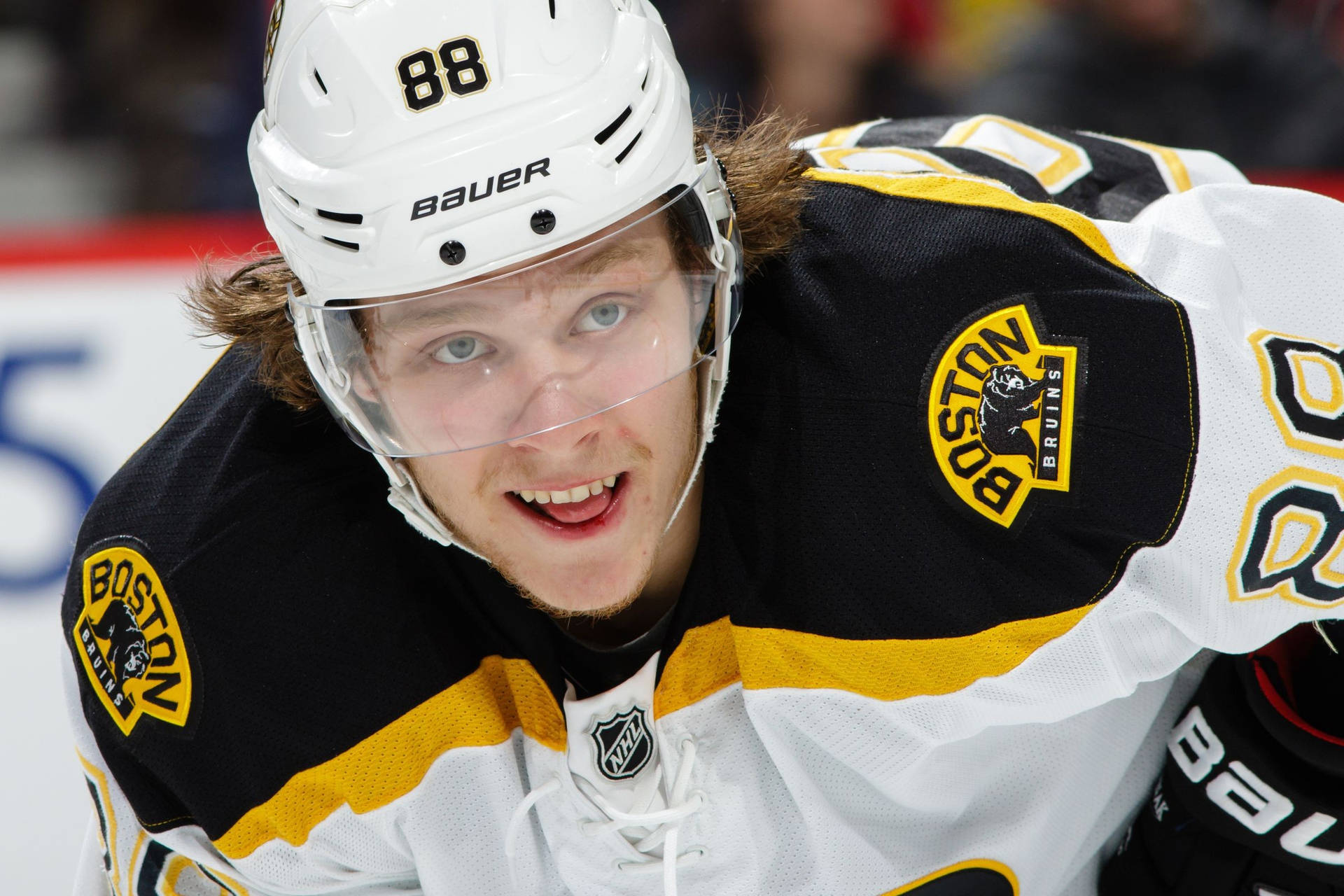 David Pastrnak Boston Bruins Vs. Arizona Coyotes Background