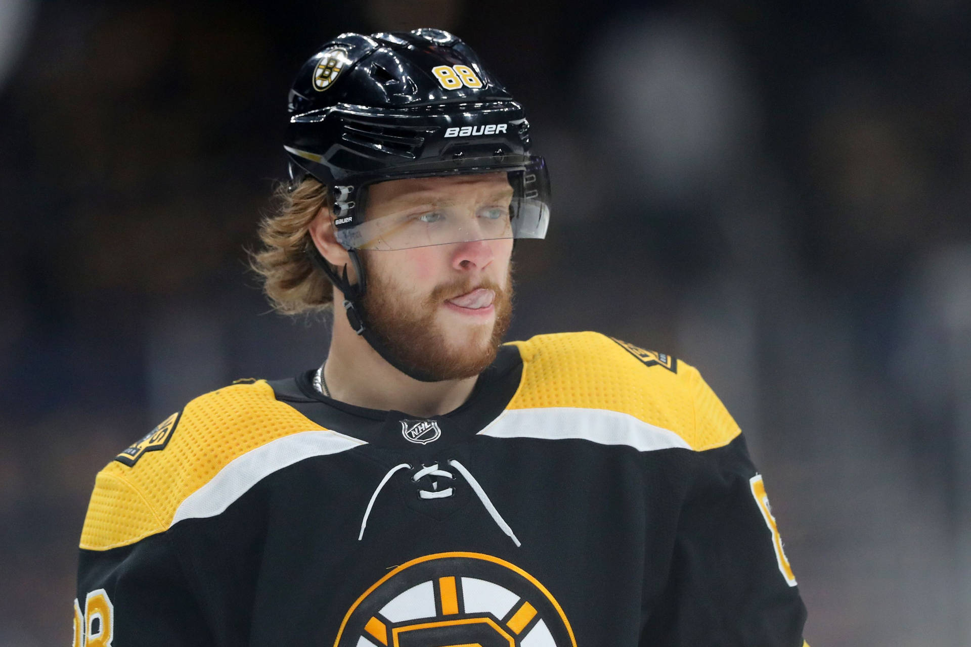 David Pastrnak Boston Bruins Vs. Florida Panthers Background