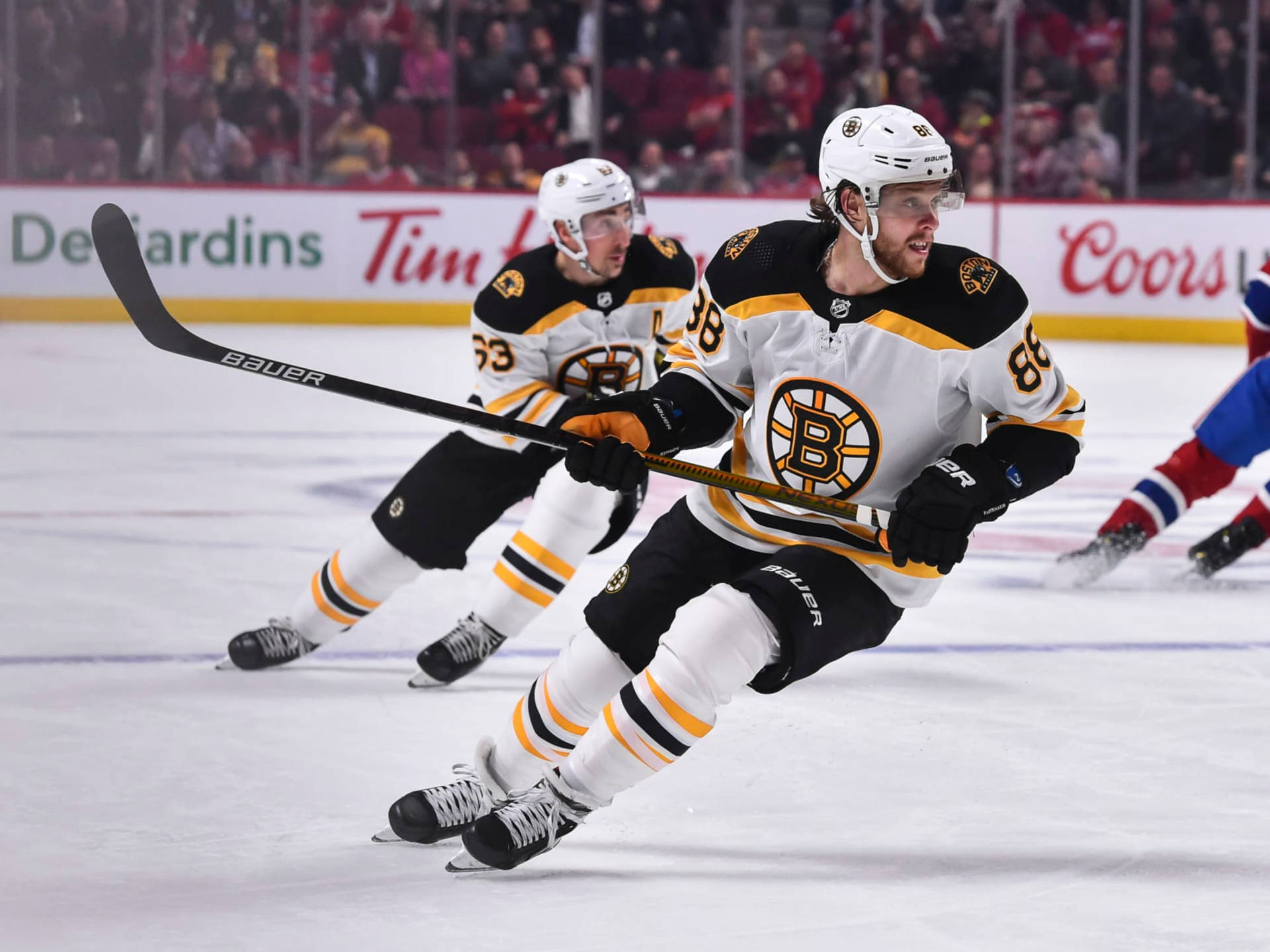 David Pastrnak Boston Bruins Vs. Montreal Canadiens Background