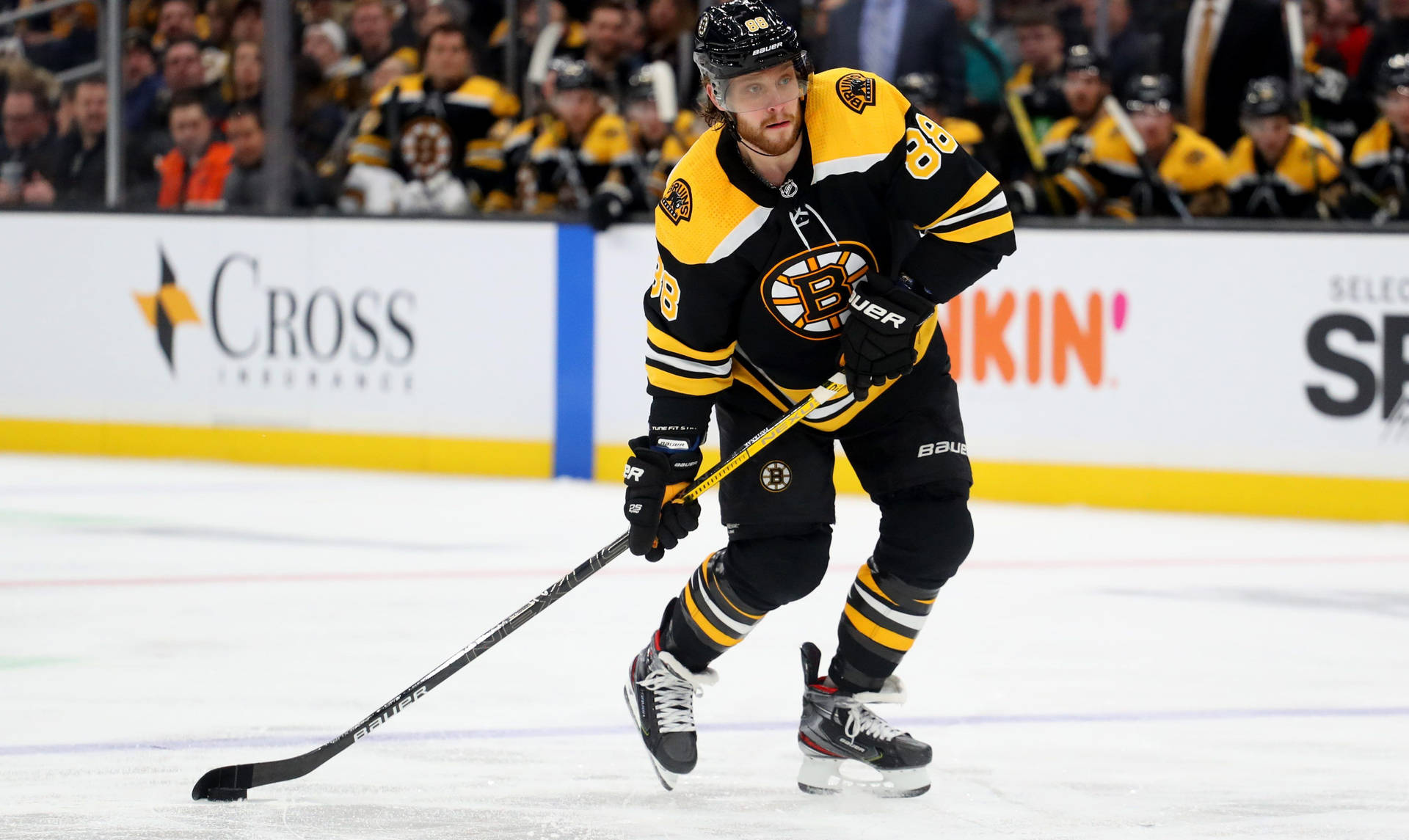 David Pastrnak Boston Bruins Vs. New York Islanders Background