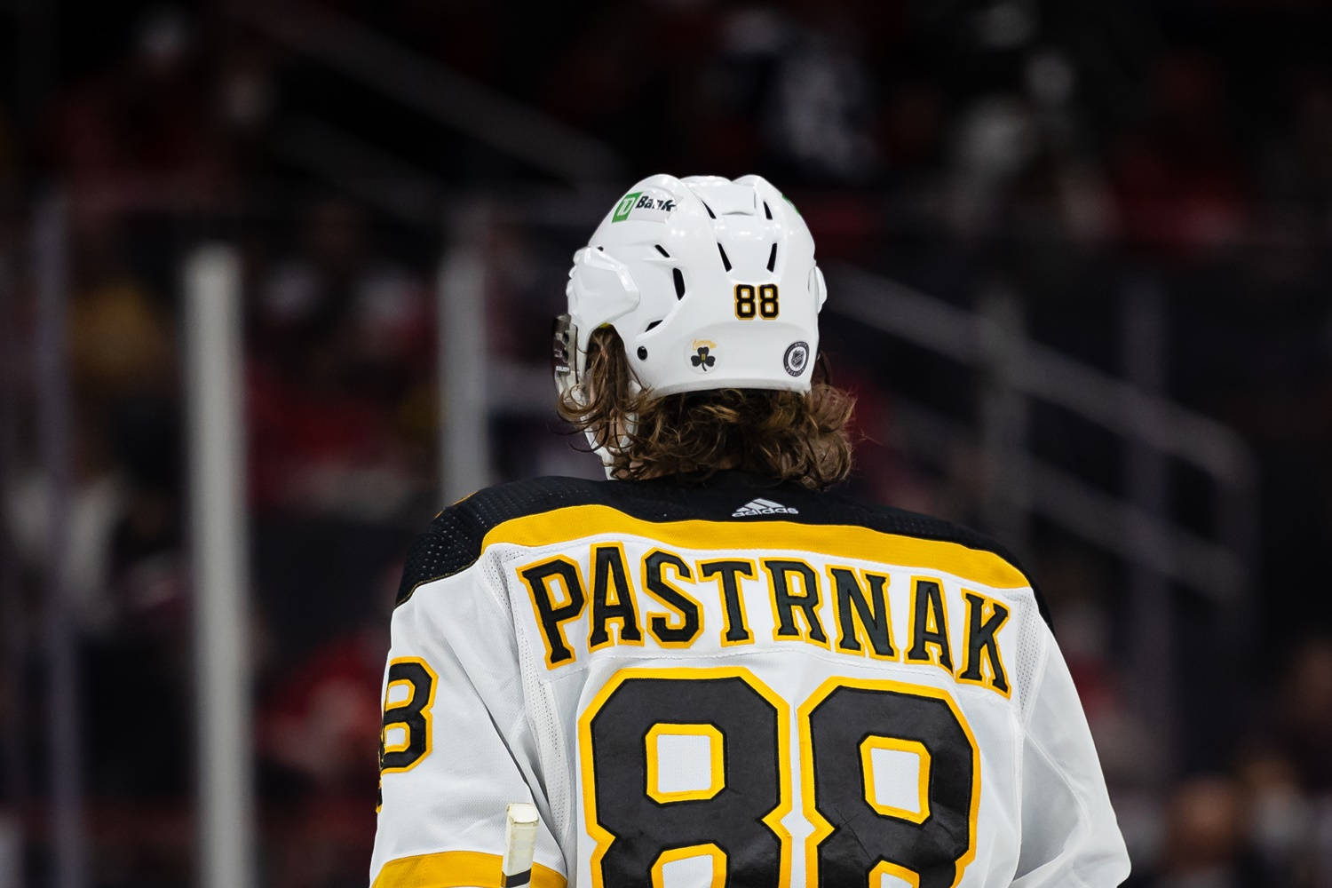 David Pastrnak Hockey Jersey Back View Background