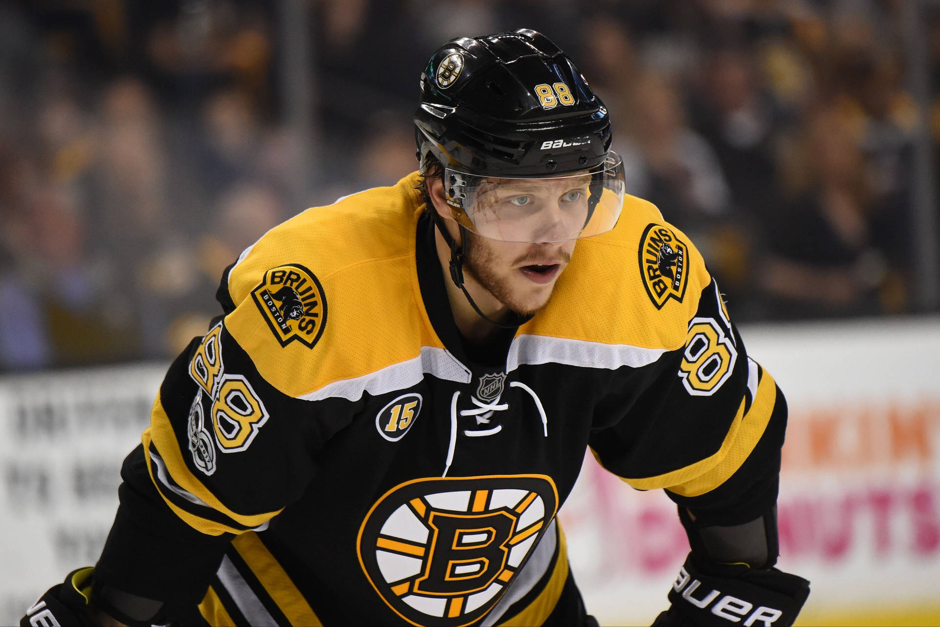 David Pastrnak Ice Hockey Game 2022 Background