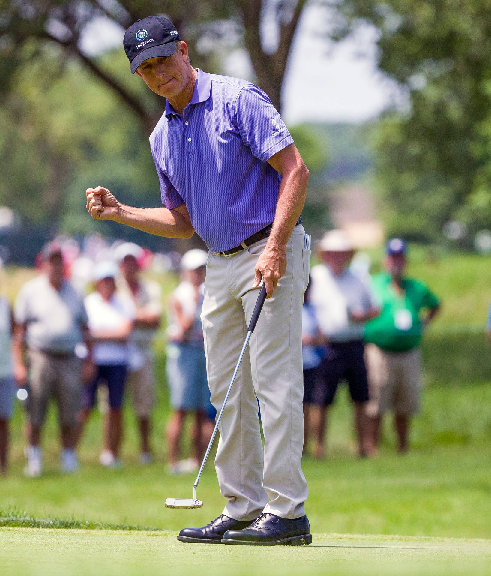 David Toms Small Fist Pump Background