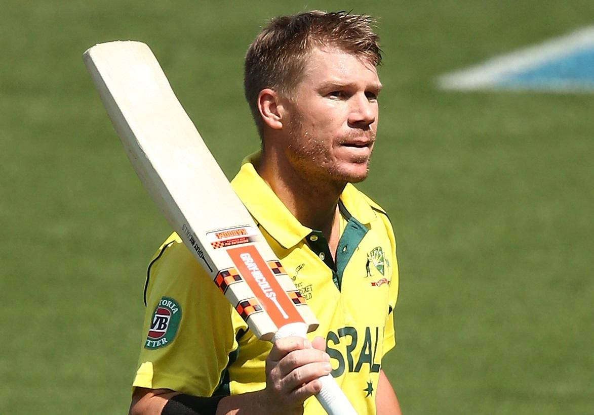 David Warner Bright Sunlight Background