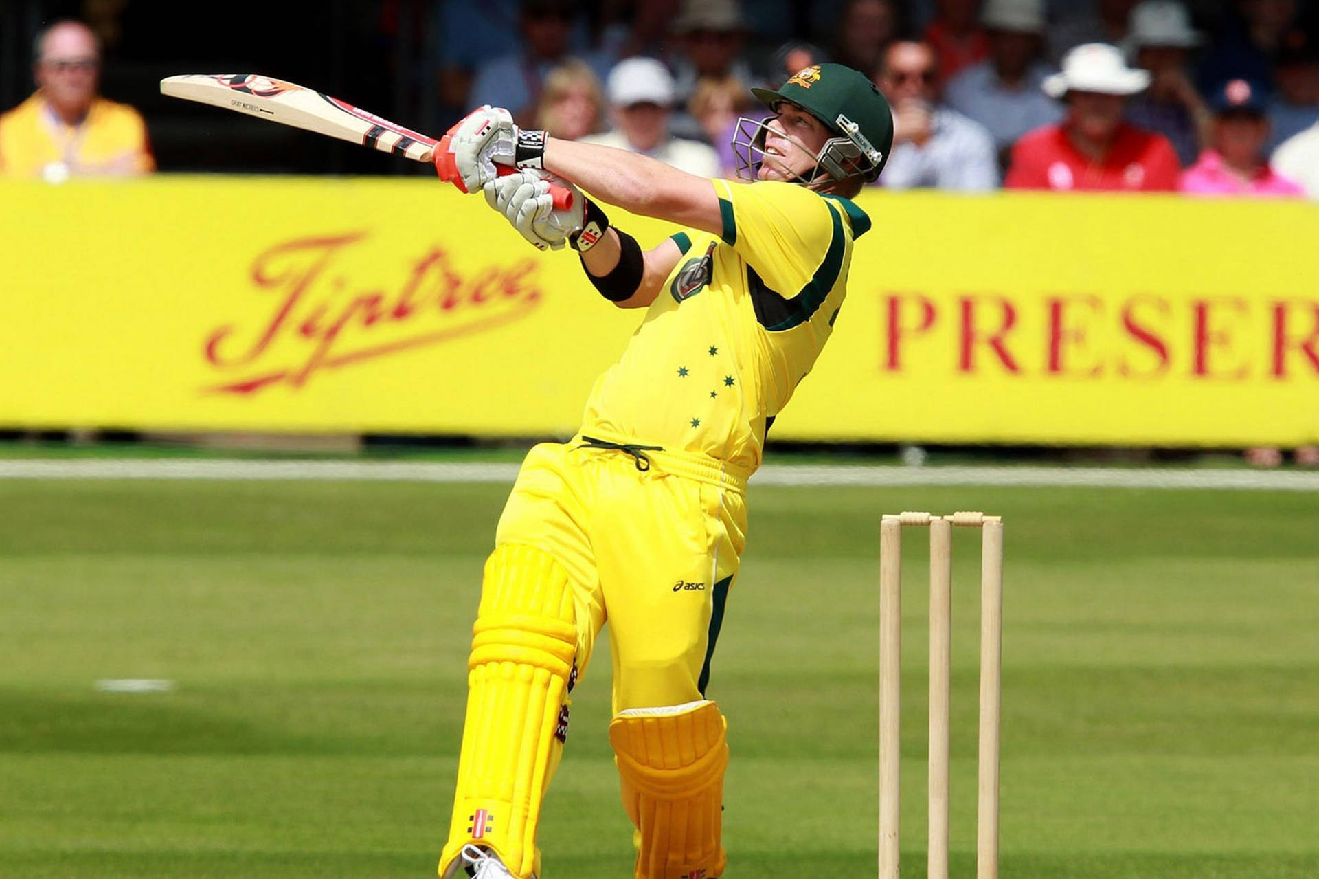 David Warner In Action - Australian Cricket Superstar Background