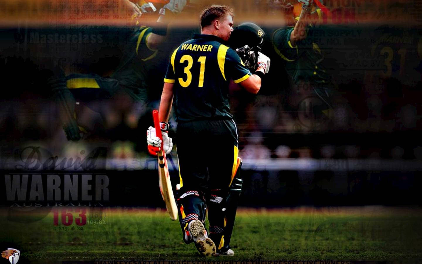 David Warner Tuned Back Background