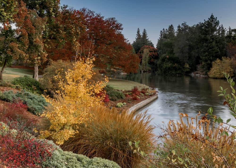 Davis Arboretum Greater Sacramento Background