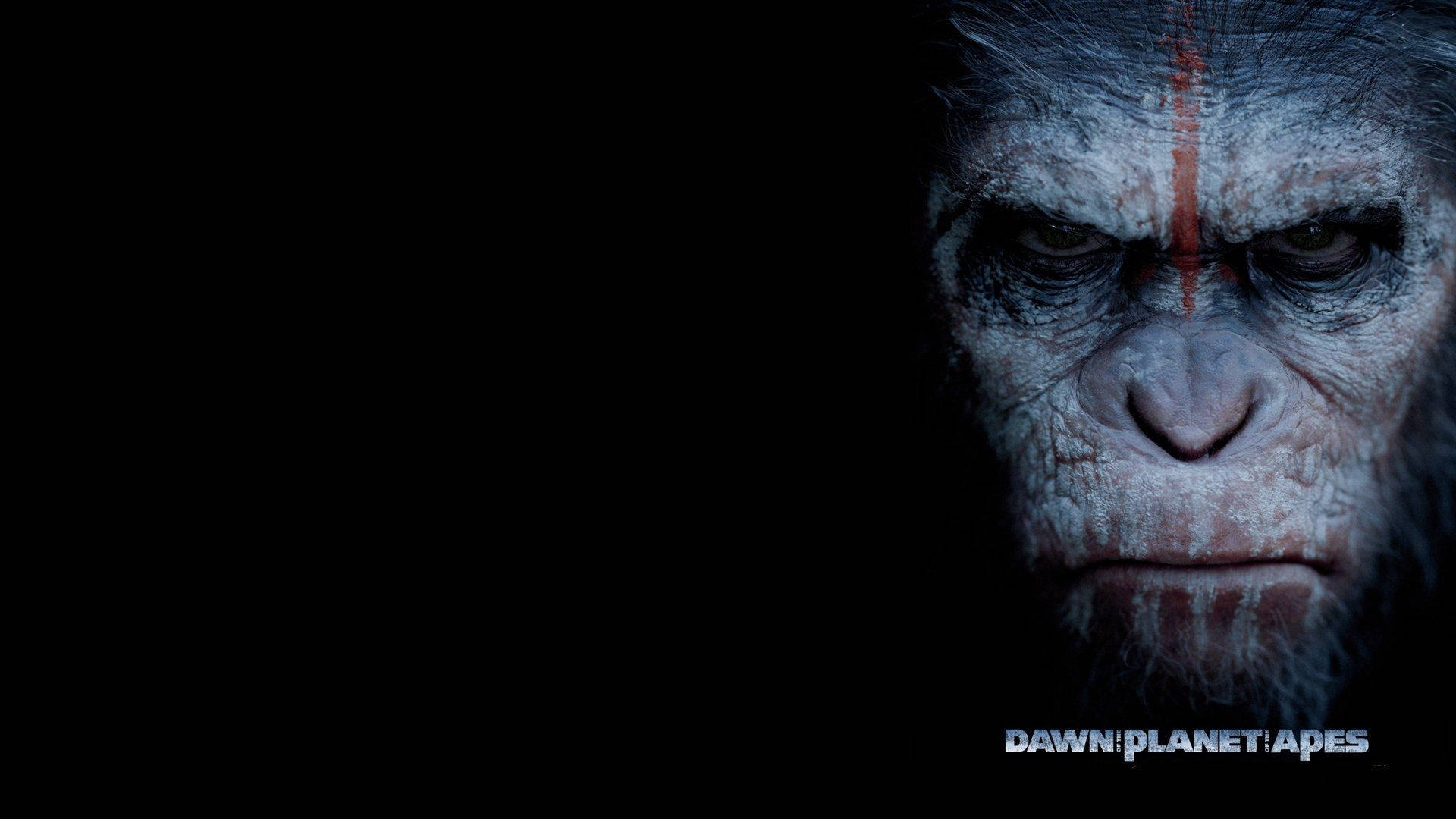 Dawn Of The Planet Of The Apes Movie Poster Background