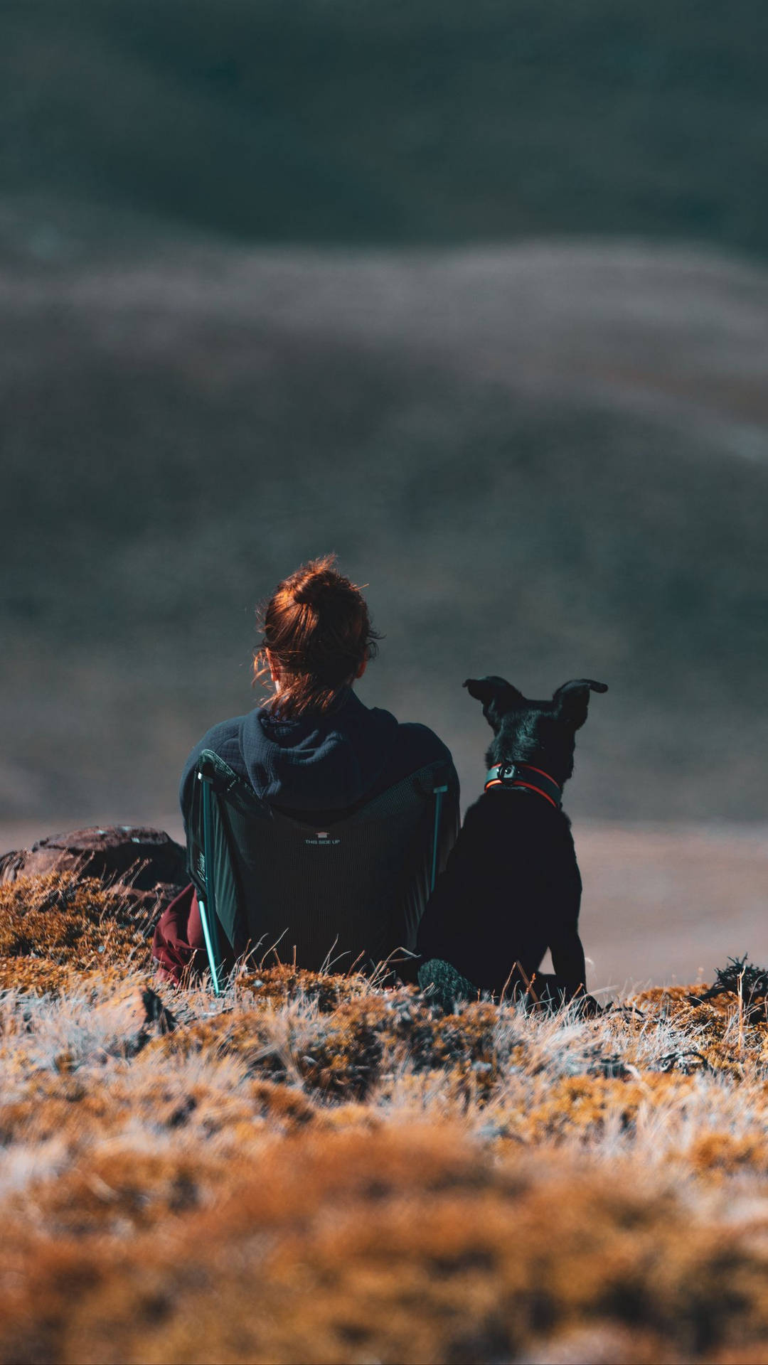 Day Light Road Dog And Girl Background