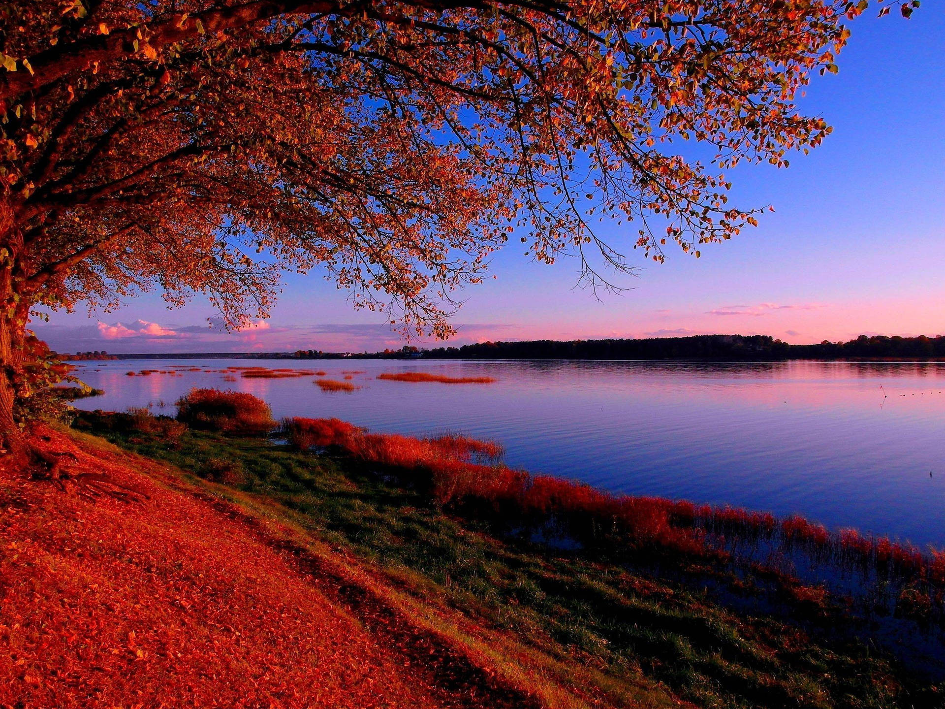 Daybreak At A River In Riga Background