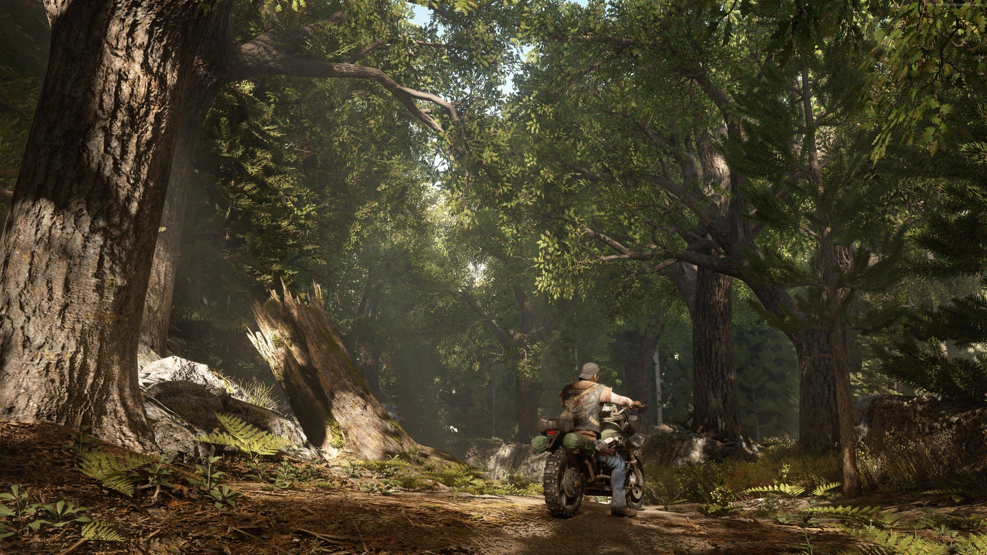 Days Gone Driving In Forest Background