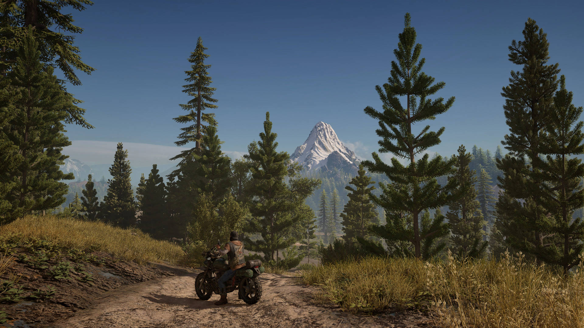 Days Gone In Mountain Background