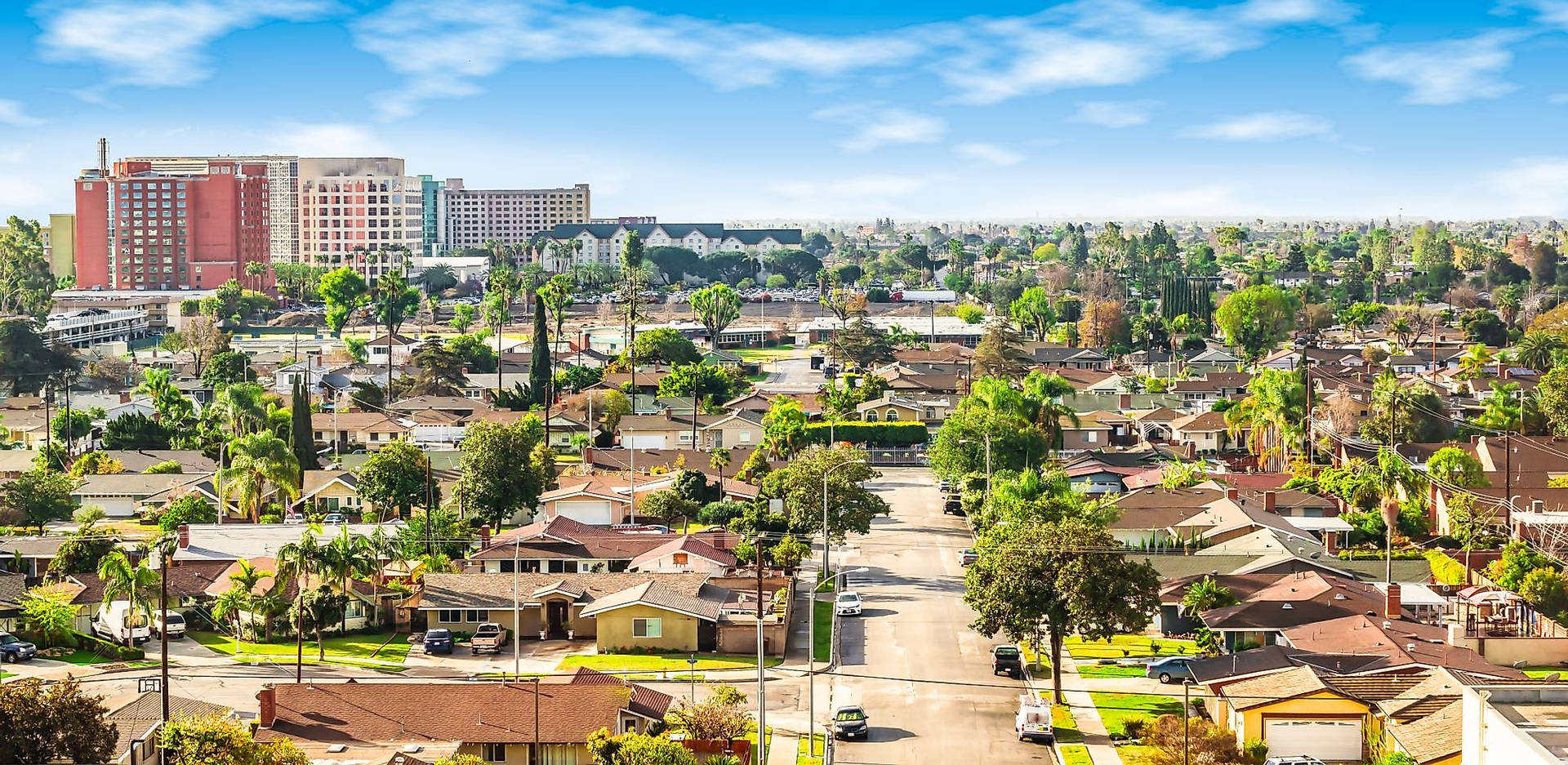 Daytime Anaheim View Background