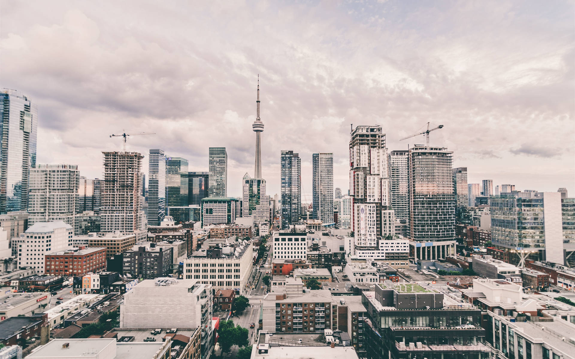 Daytime Toronto And Cn Tower Background