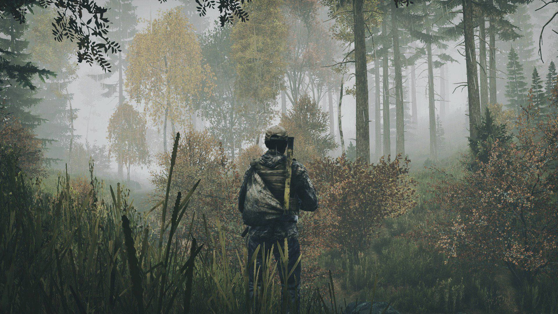 Dayz Foggy Forest Background