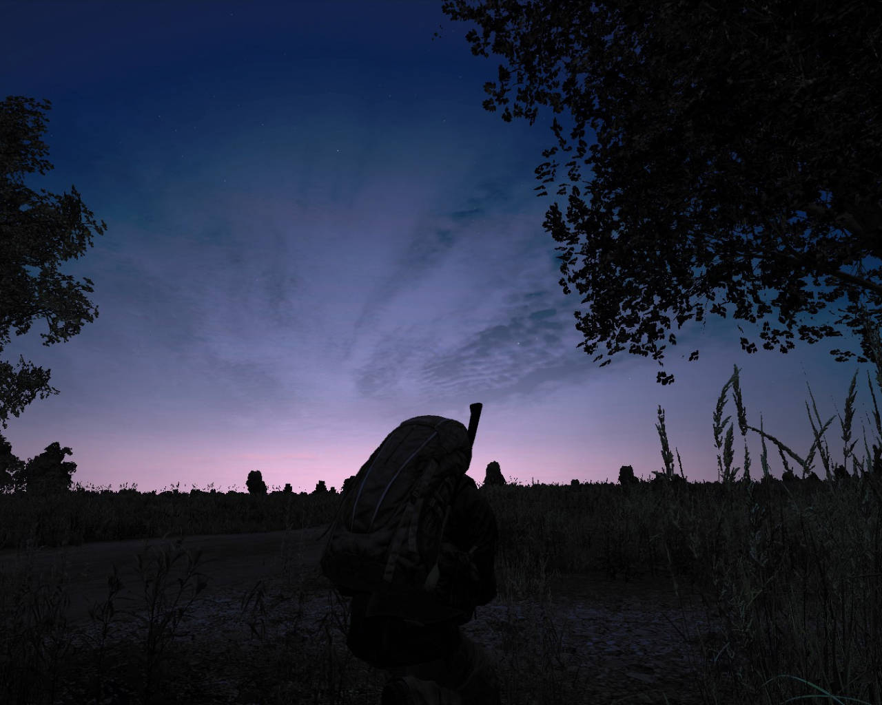 Dayz Game Silhouette Background
