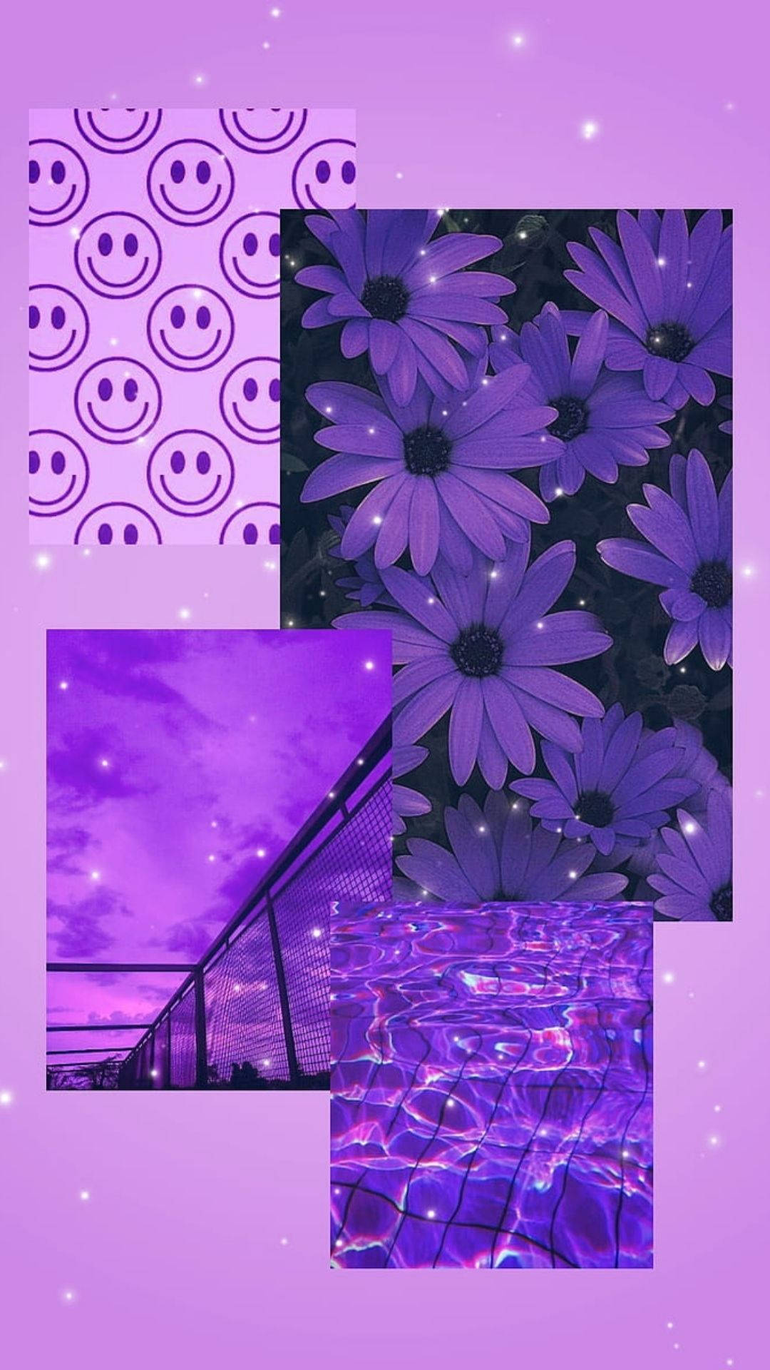 Dazzling Purple Flowers Aesthetic