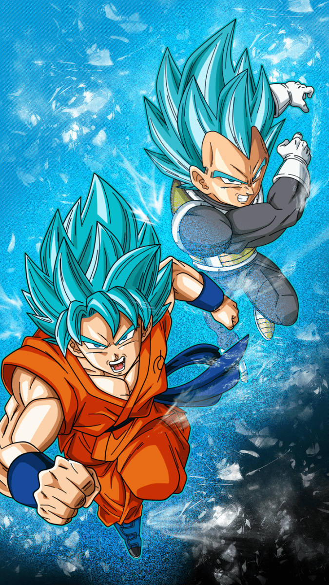 Dbz Goku And Vegeta Ssj Blue