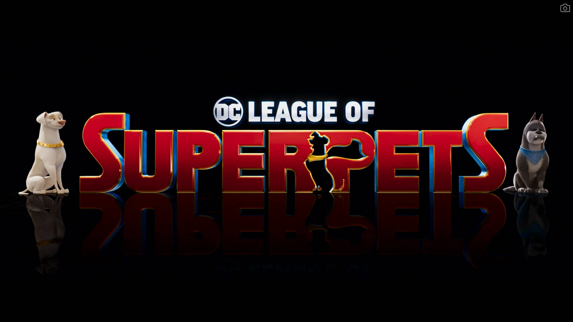 Dc League Of Super Pets Logo With Ace Background