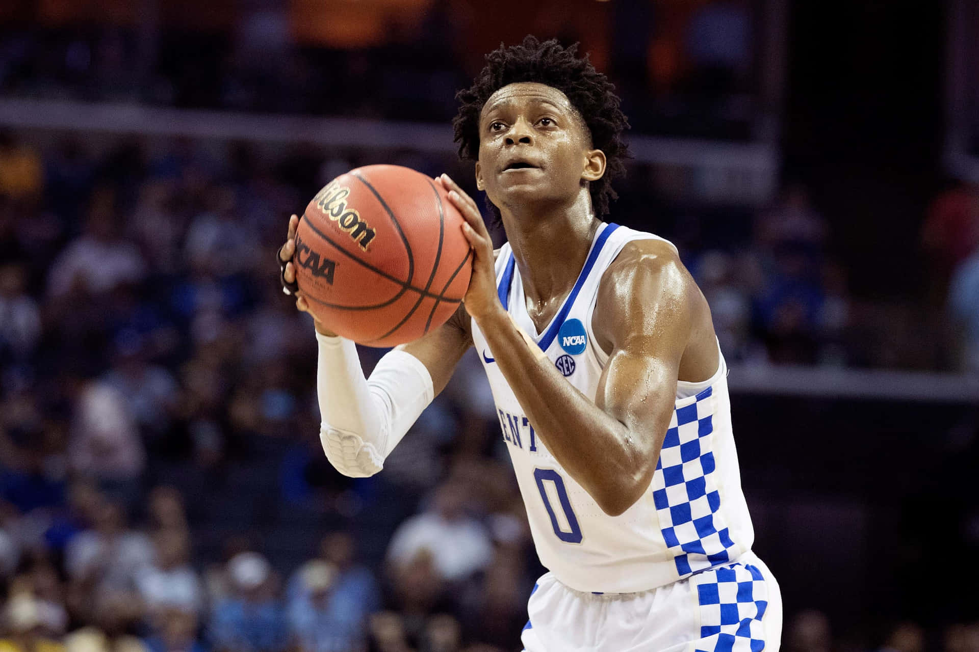 De'aaron Fox Kentucky White Jersey Background