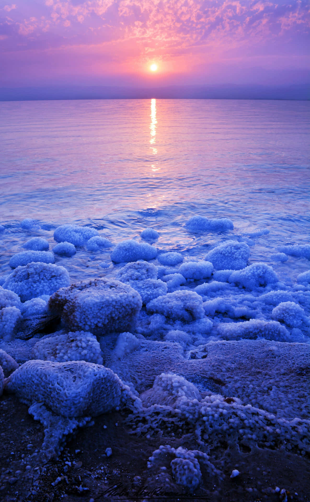 Dead Sea With Clumps Of Salt Background