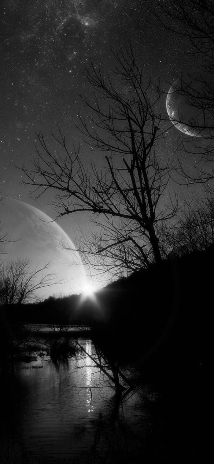 Dead Tree Under The Moon Solid Black Iphone Background