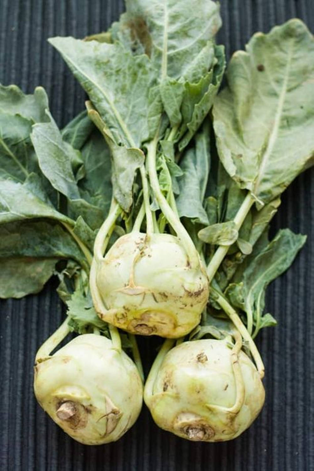 Decaying Kohlrabi Vegetables Background