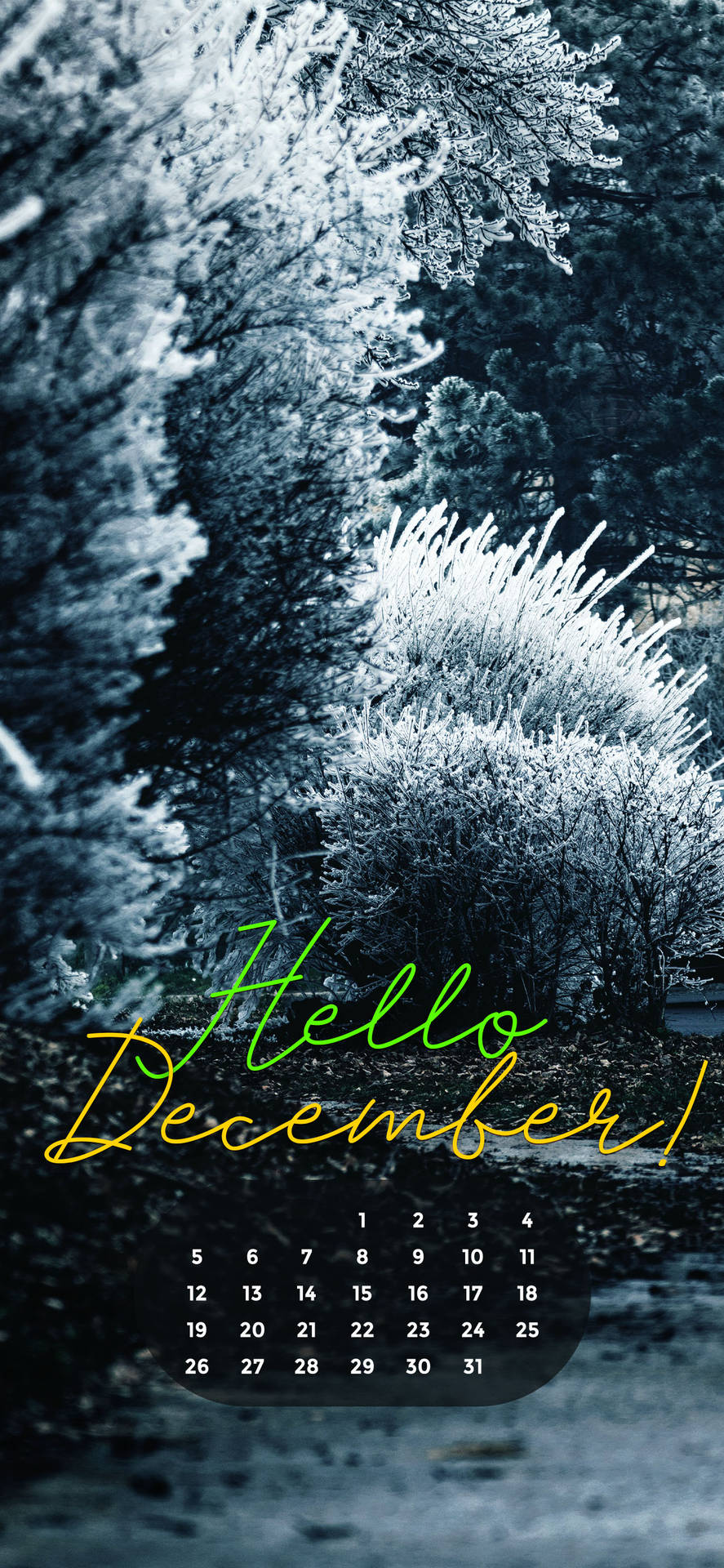 December 2021 White Christmas Background