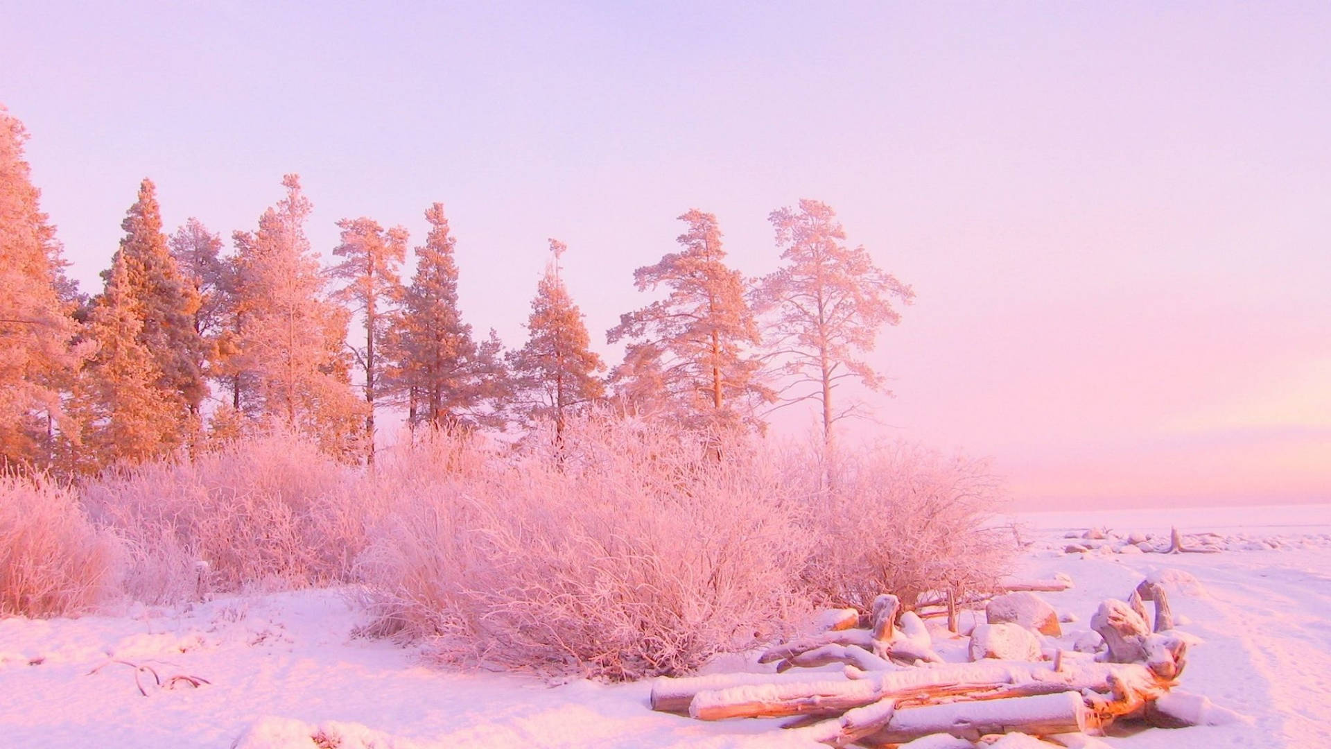 December Pink Winter Wonderland Background