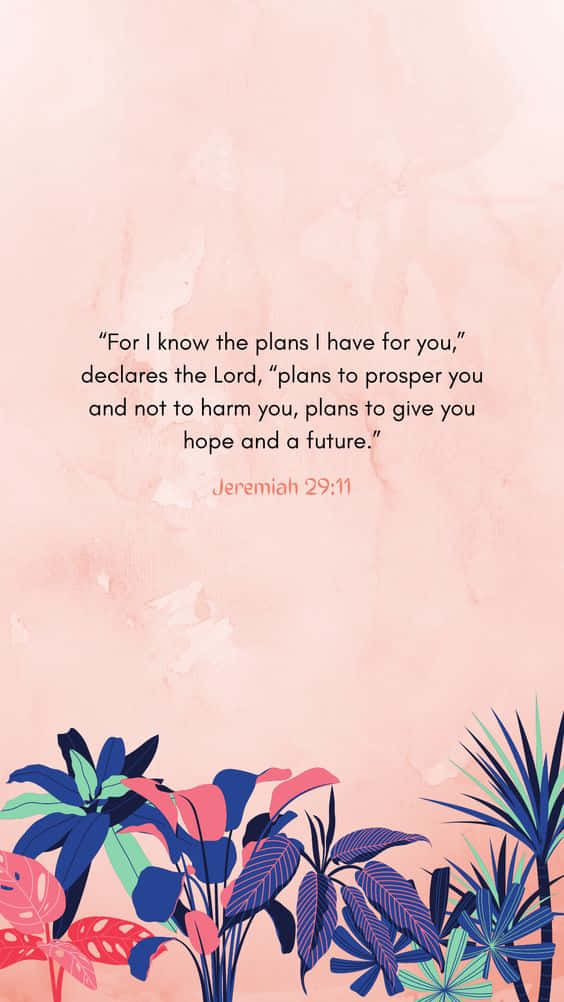 Declare The Plans Of The Lord