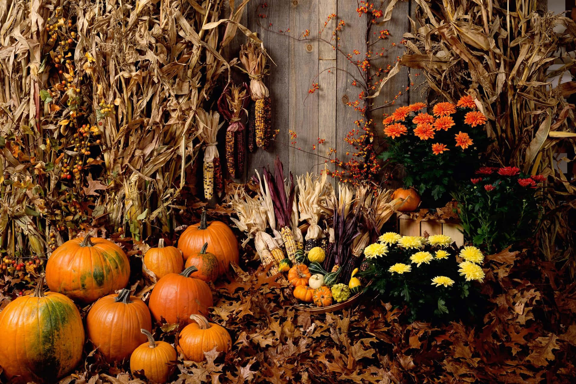 Decorated Fall Pumpkin And Flowers Background