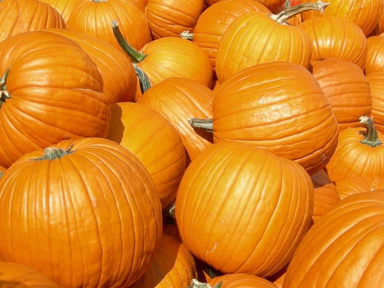 Decorating For Fall With A Pumpkin Background