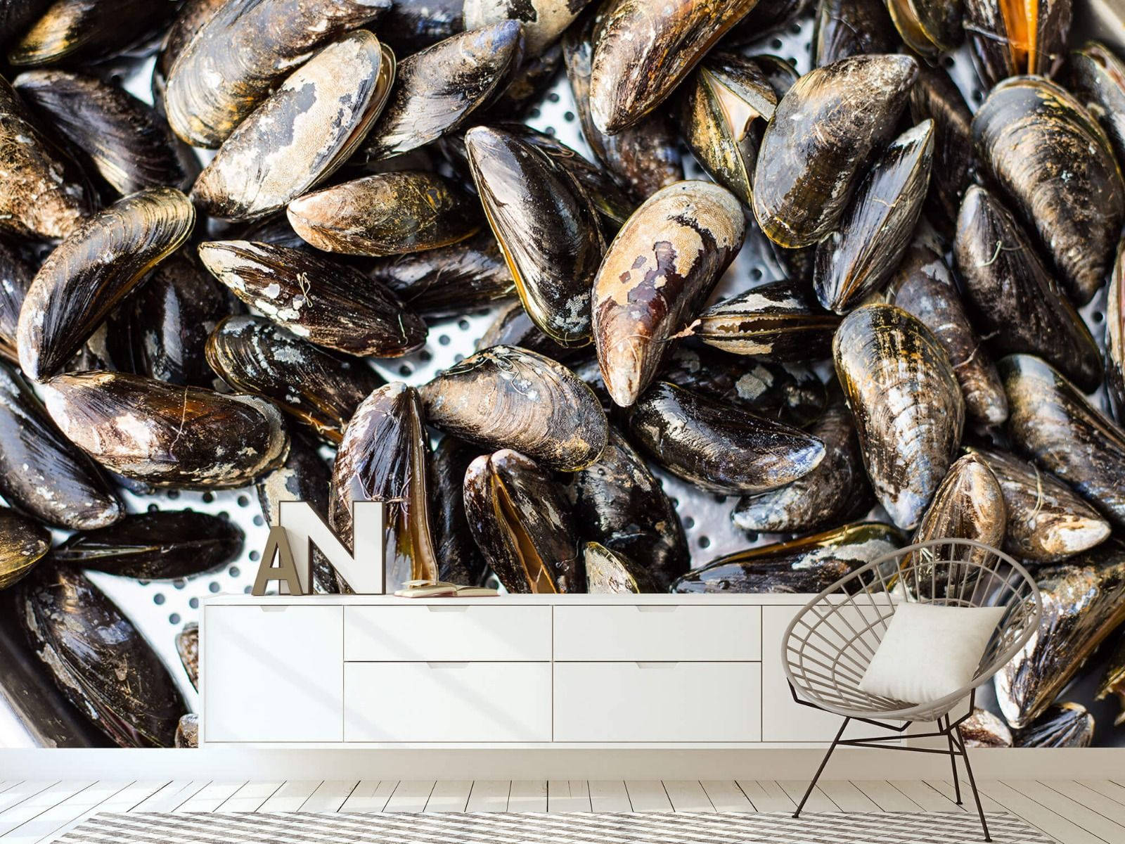 Decorative Mussel Shells Wall Design Background