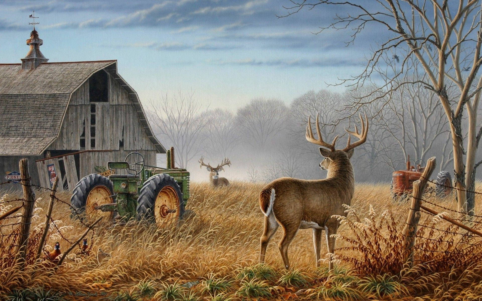 Deer Hunting Barn Beside Stag Background