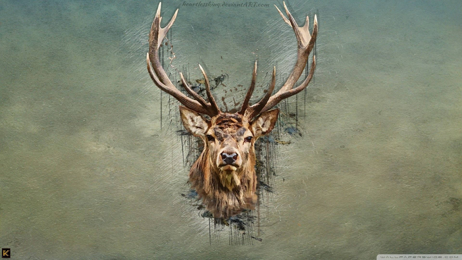 Deer Hunting Head Artistic Painting Background