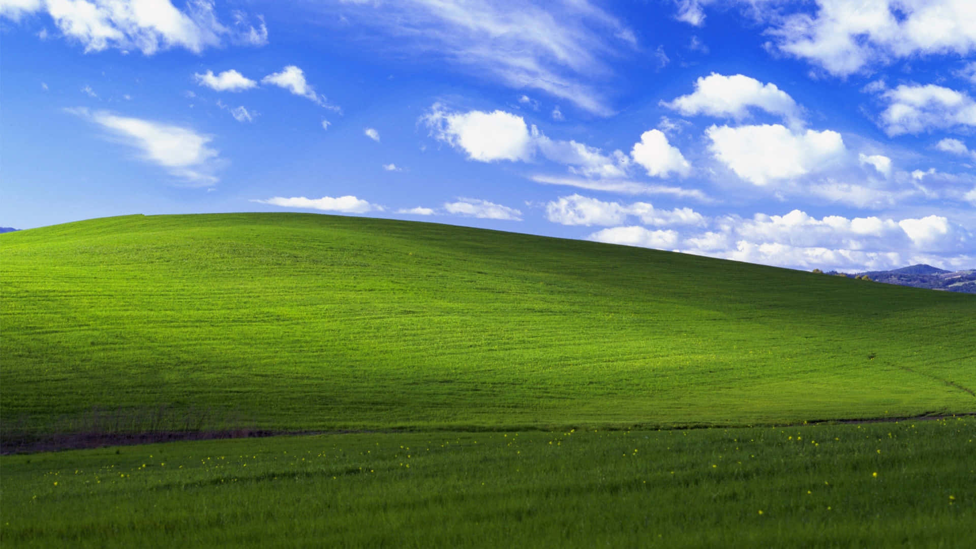 Default Bliss Windows 1 Background